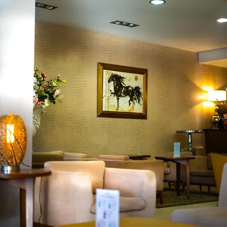 密拉蒙酒店 酒店 4*