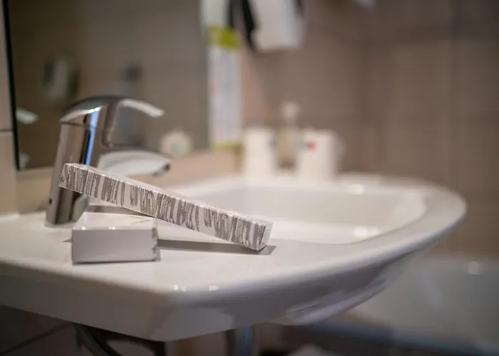 Miramont Otel Lourdes