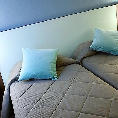 Miramont 4* לורדה